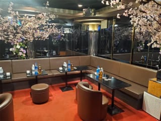 体入掲載葉月　(ハヅキ)の画像