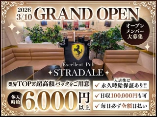 体入掲載ストラダーレの画像