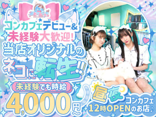 体入掲載わがはいはねこであるの画像