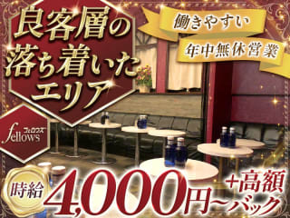 体入掲載fellowsの画像