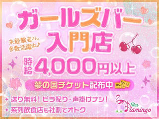 体入掲載Bar Flamingoの画像