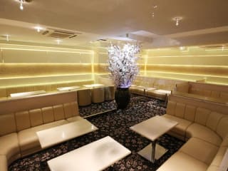 体入掲載Club 櫻の画像